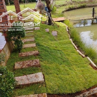 Cần Bán Lỗ Khu Vườn Tuyệt Đẹp Ngay Khu Dân, Có Suối Chảy Bao Quanh Đất