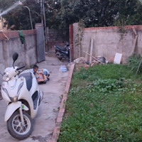 Đầu Tư Chắc Chắn Có Lời Với Giá Này Tôi Chủ Nhà Bán Nhà 132M2 Tân Phú Cũ, Quốc Oai, Hà Nội