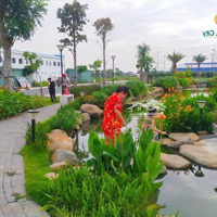 Cắt Lỗ Sâu Chỉ 2,368 Tỷ. Bán Gấp Nền Đẹp, View Hồ Thiên Nga The Sol City. Sổ Hồng Riêng