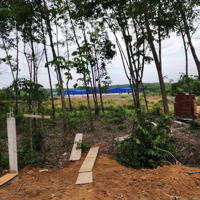 Bán 1,4 Ha Đất Skc Vĩnh Tân. Đã Xin Phép Xd Nhà Xưởng, Pccc Hs Pháp Lý Đã Làm Xong Hết Giá 3, 5 Triệu