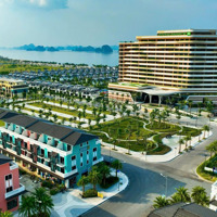Quỹ Căn Bt Giá Tốt Nhất Thị Trường, Vị Trí Đẹp, Sẵn Sàng Giao Dịch Ngay