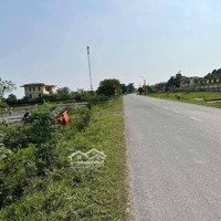 90M Mặt Tiền Đường, Đất Vườn Rộng 2230M2, Sau Lưng Trường Tiểu Học
