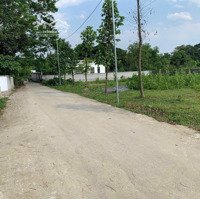 90M Mặt Tiền Đường, Đất Vườn Rộng 2230M2, Sau Lưng Trường Tiểu Học