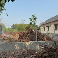 Bán Đất 500M2 Tại An Linh, Phú Giáo, Bình Dương, Chỉ Với Giá Tốt 580 Triệu Vnd