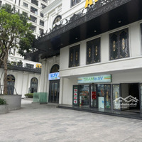 Bán Nhanh Căn Shophouse Lô Góc 140M2 Sẵn Dòng Tiền 55 Triệu/Tháng Tại Iris Garden, Full Giá Chỉ 16,5 Tỷ