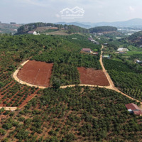 Cần Bán 250M2 Sẵn 80M Đất Thổ Cư Giá Bán 700 Triệu Thương Lượng Chủ