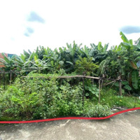 Bán Lô Đất Biệt Thự Ql 1A Đông Hoà Trảng Bom, 140M2 Ngang 8M5 Giá Chỉ Nhỉnh 1 Tỷ.