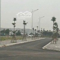 Cần Bán Nhanh Lô Đất Chính Chủ, Gần Chợ Dự Án Sông Hồng. Liên Hệ: 0943703689