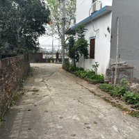(Siêu Hiếm) Bán 51M2 Tại Tân An- Hiền Ninh- Sóc Sơn- Hn. Đường 6M Ngõ Thông. Nhỉnh Tỉ