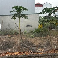 (Siêu Hiếm) Bán 51M2 Tại Tân An- Hiền Ninh- Sóc Sơn- Hn. Đường 6M Ngõ Thông. Nhỉnh Tỉ