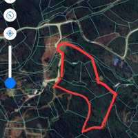 Bán Khu Nghỉ Dưỡng 2 Ha 2 View Săn Mây Cực Đỉnh, Chính Chủ Đăng Bán