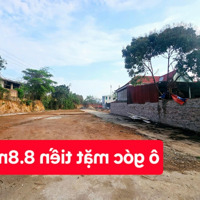 Lô Góc Tại Liên Bảo - Tp Vĩnh Yên - Vĩnh Phúc - Siêu Phẩm Ô Đất 2 Mặt Tiền Xây Nhà Vườn Nhỏ Xinh
