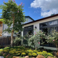 Nhà Vườn Nghỉ Dưỡng Trung Tâm Phường Lộc Tiến - Tp. Bảo Lộc Diện Tích: 500M2 - View Suối Thoáng Mát