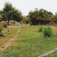 Bán 152M2 Đất Ở Đường Pháo Binh, Thanh Phước, Gò Dầu, Tây Ninh