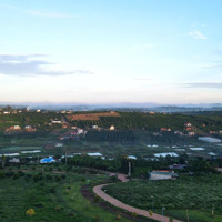 Bán Đất Vườn Nghỉ Dưỡng Cách Trung Tâm Nha Trang Chỉ 8Km