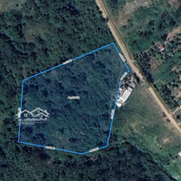 Bán Đất Vườn Nghỉ Dưỡng Cách Trung Tâm Nha Trang Chỉ 8Km
