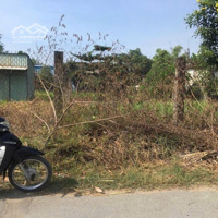 Bán Đất Tân Phú Trung Củ Chi - Cạnh Bvien Xuyên Á -Diện Tíchđẹp 16X41 - 540M Full Thổ Cư - Đường 8M