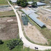 Đất Trồng Cây Hằng Năm Đẹp 3 Mặt Kiệt, 475M2 Hòa Phong, Giá Chỉ 390 Triệu