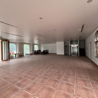Cho Thuê Mbkd Bùi Thị Xuân 120M, 4 Tầng, Mặt Tiền 6M Vị Trí Đẹp, Cực Hợp Spa Thẩm Mỹ 0336920707
