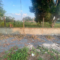 Chủ Ngộp Bán Gấp Đất Xã Tân Thông Hội, Củ Chi, Hồ Chí Minh, 720 Triệu, 133.5 M2