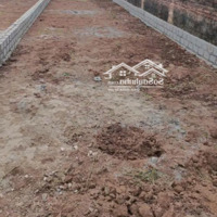 Bán Đất Đẹp Xã Tự Nhiên Thường Tín Hà Nội Đường Ô Tô Tránh Giá Chỉ 29 Triệu/M²