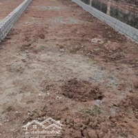 Bán Đất Đẹp Xã Tự Nhiên Thường Tín Hà Nội Đường Ô Tô Tránh Giá Chỉ 29 Triệu/M²