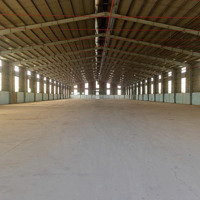 Cho Thuê Nhà Xưởng 8000M2 Nhà Xưởng Mỹ Hạnh Đức Hòa Long An