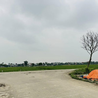 Bán Đất Đấu Giá Bắc Thượng Quang Tiến Sóc Sơn Liên Hệ: 0981288566