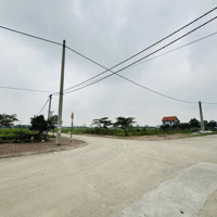 Bán Đất Đấu Giá Bắc Thượng Quang Tiến Sóc Sơn Liên Hệ: 0981288566