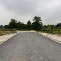 Bán Đất Biệt Thự Kđt Hà Phong, Mê Linh, 308M2,Mặt Tiền20M Sổ Đỏ, Xây Thô Sang Tên Ngay, Giá Tốt Đầu Tư.