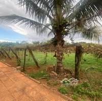 Bán Đất Tại Liên Hiệp, Đức Trọng, Lâm Đồng, Giá Cực Chất 20 Triệu Vnd, 300M2