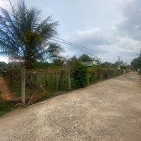 Bán Đất Tại Liên Hiệp, Đức Trọng, Lâm Đồng, Giá Cực Chất 20 Triệu Vnd, 300M2