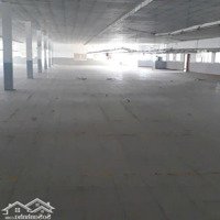 Cho Thuê Nhà Mặt Phố Lũy Bán Bích, 90 Triệu, 1000M2, 1 Phòng Ngủ 1 Vệ Sinh Mặt Tiền 15M