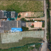 Hàng Hiếm Tại Lý Sơn 250M2 Rẻ Nhất Khu Vực Đất Thổ Cư, Vị Trí Siêu Đẹp