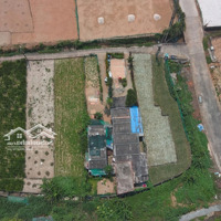 Hàng Hiếm Tại Lý Sơn 250M2 Rẻ Nhất Khu Vực Đất Thổ Cư, Vị Trí Siêu Đẹp