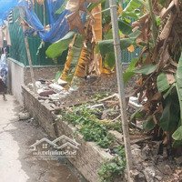 Chính Chủ Bán Đất Miêu Nha, Tây Mỗ, Nam Từ Liêm, 4,9 Tỷ, 2 Thoáng