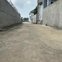 Bán Đất Tân Viên, An Lão, Hải Phòng, 680 Triệu, 75,9 M2 Đẹp, Nhiều Tiện Ích .