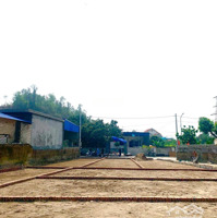 Bán Đất Thủy Nguyên Giá Chỉ (435 Triệu/Lô) 60M2 Đường Trước Đất Rộng 8M Nằm Trên Trục Đường Liên Xã