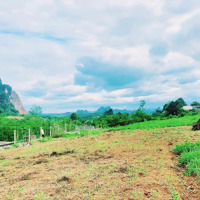 Diện Tích: 3984M2 Trong Đó Có 1300M2 Ont + Cln, Tại Hợp Phong, Cao Phong, Hòa Bình