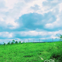 Diện Tích: 3984M2 Trong Đó Có 1300M2 Ont + Cln, Tại Hợp Phong, Cao Phong, Hòa Bình