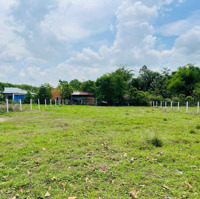 Chính Chủ Bán Gấp 223.8M2 Tại Thái Mỹ, Củ Chi