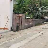Chính Chủ Bán Đất Đấu Giá 103M2 Siêu Đẹp Tại Khê Nữ - Nguyên Khê - Đông Anh - Hà Nội