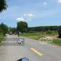 Cần Bán Nhanh Lô Đấy Mtđ.phạm Ngọc Thạch,T.t Mỹ An,Gần Chợ Tháp Mười,Đồng Tháp. Diện Tích: 120M2, Shr. 600 Triệu