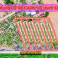 Đất Thị Trấn Ea Knốp-Ea Kar-Đắk Lắk Đường 10M Sắp Đổ Bê Tôngdiện Tích10*60M Quy Hoạch Đất Ở Chỉ 168 Triệu/Lô