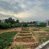 Cơ Hội Vàng Cho Các Nhà Đầu Tư Đón Sóng Bất Động Sản Tại Bắc Giang Chỉ Với 1,2 Tỷ Có Ngay 100M Đất