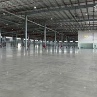 Cho thuê xưởng may gần 39.000m² đất có 19.000m² kho nhà xưởng, văn phòng làm việc,.. Tại Quảng Nam.