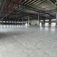 Cho thuê xưởng may gần 39.000m² đất có 19.000m² kho nhà xưởng, văn phòng làm việc,.. Tại Quảng Nam.
