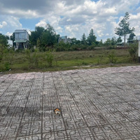 Chưa Tới 2 Tỷ Nhận Ngay Lô Đất Mtdiện Tích100M2, Giá Bán 1,86 Tỷ Gần Trường Tiểu Học Bình Hòa, Biên Hòa