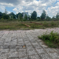 Chưa Tới 2 Tỷ Nhận Ngay Lô Đất Mtdiện Tích100M2, Giá Bán 1,86 Tỷ Gần Trường Tiểu Học Bình Hòa, Biên Hòa