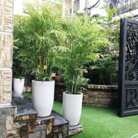 Bán Biệt Thự Khu Cư Xá Tự Do, Đường Cmt8, 3 Lầu, Giá Cực Chất Chỉ 23 Tỷ Còn Tl